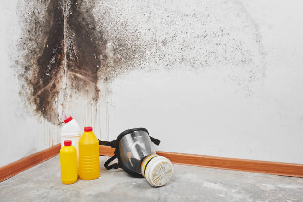 Best Mold Testing  in Barnesville, GA