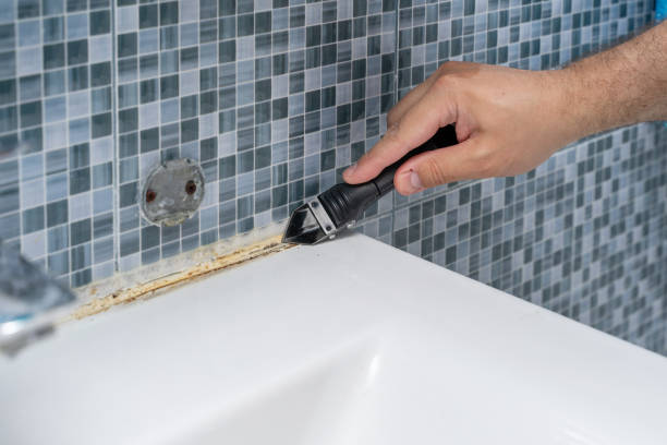 Best Mold Remediation  in Barnesville, GA