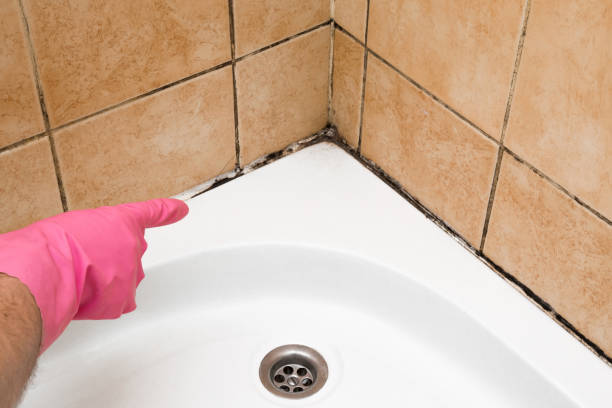 Best Mold Testing  in Barnesville, GA